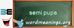 WordMeaning blackboard for semi pupa